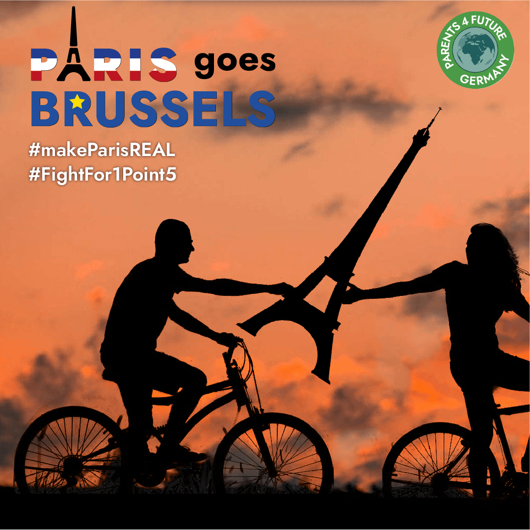 IMG 20201127 115330 154