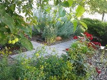 AckvaBibelgarten210 816