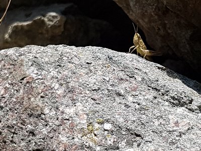 IMG 20210703 122302 400