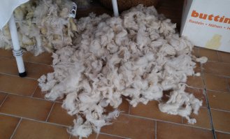 Flocke IMG 20221204 142337 400A