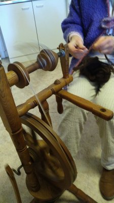 beimSpinnenIMG 20230225 141054 225