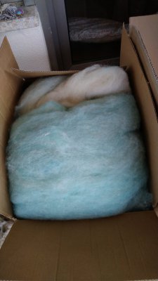 mitkardiertIMG 20221204 142350 225